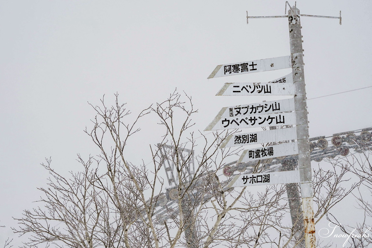 十勝サホロリゾート　高い晴天率を求めて向かったはずが…。新年早々嬉しい誤算、極上ドライパウダースノーに大当たり♪